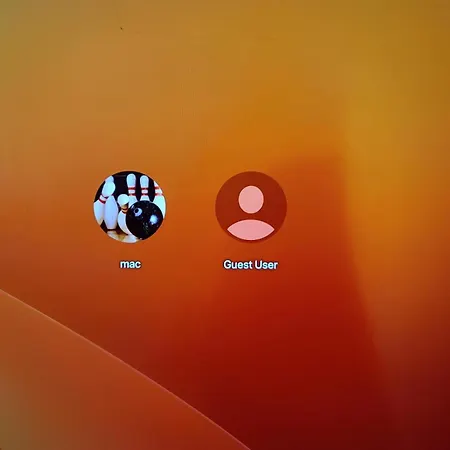 Apartman Skarbowcow Parkside *