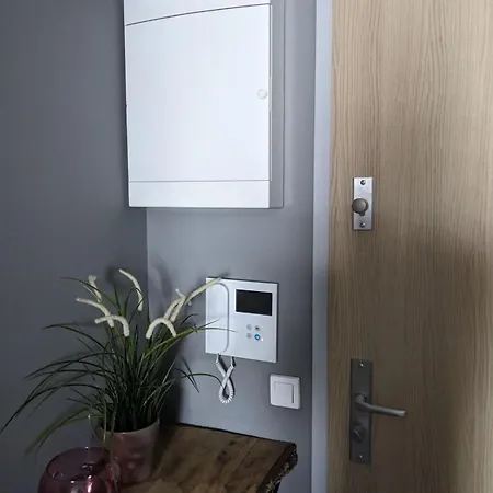 Skarbowcow Parkside Apartman *